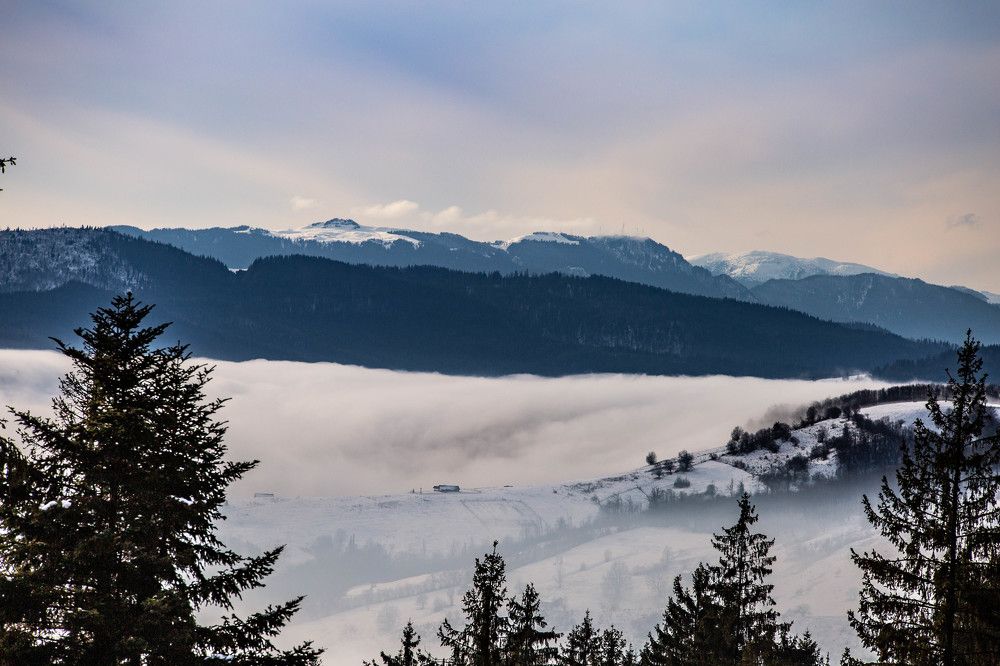 Photograph by Andrei Hamza