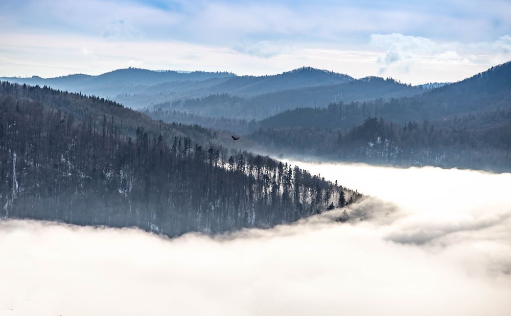 Photograph by Andrei Hamza