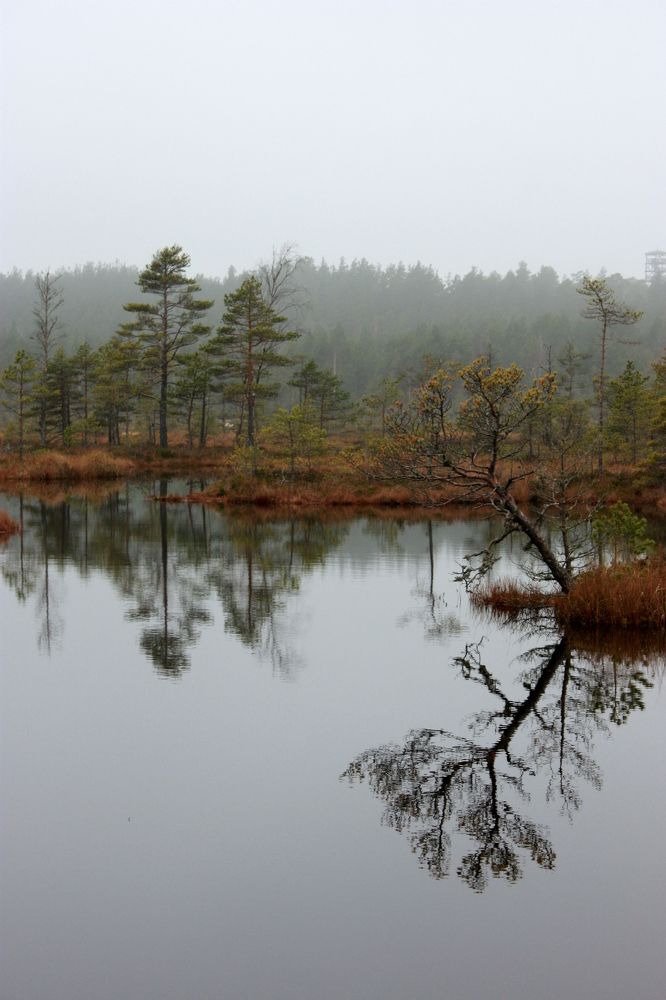 In front of a mirror.