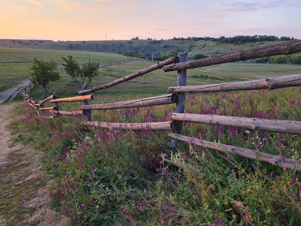 Photograph by Tatiana Denisova