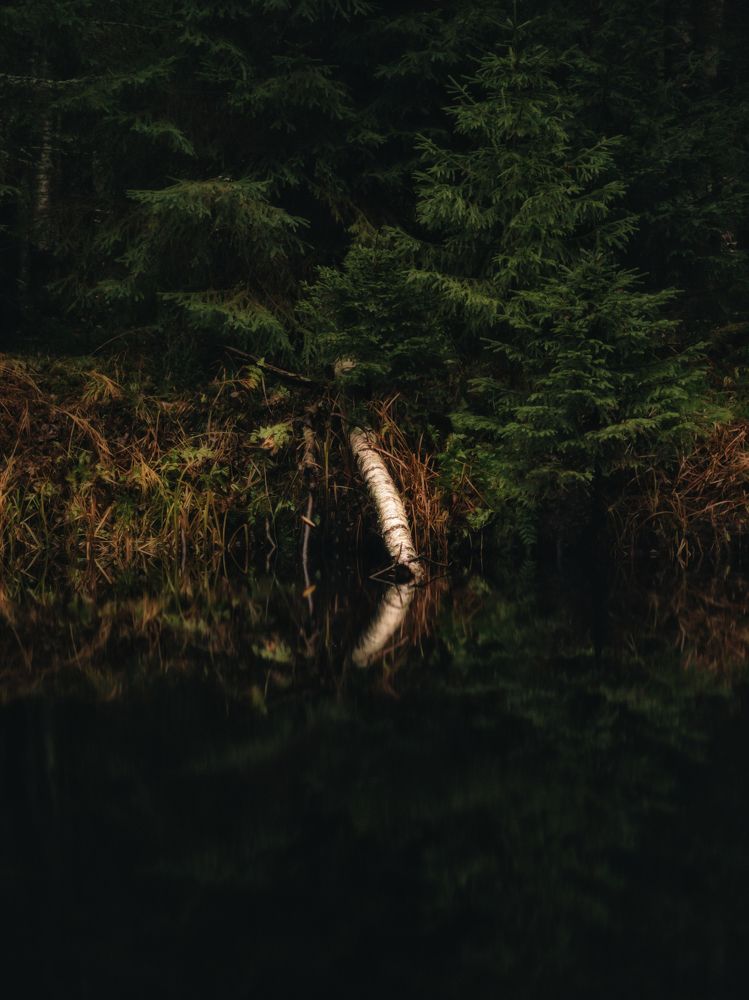 Photograph by Александр Державин