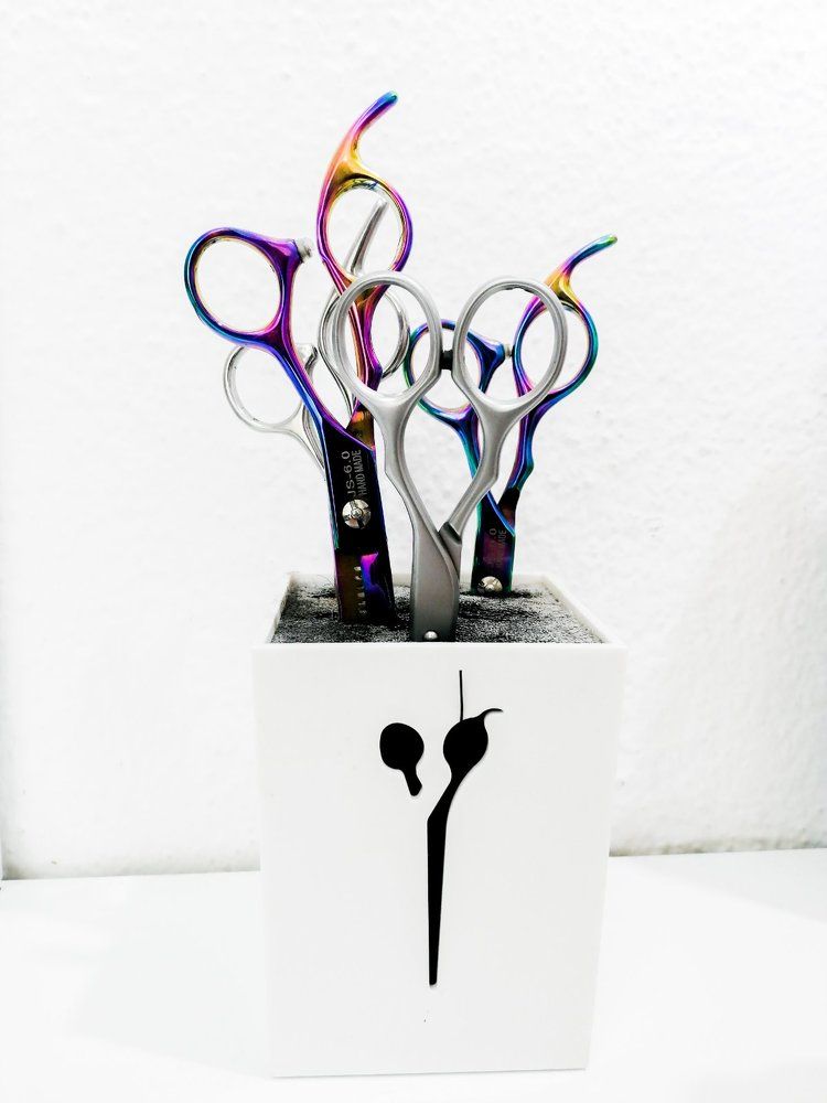 The colourful scissors