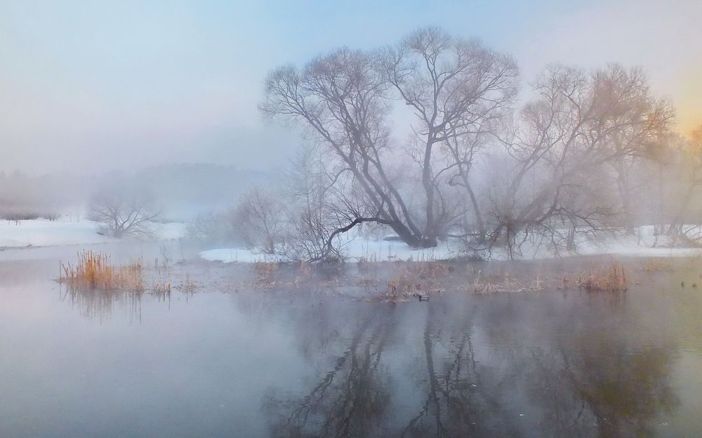 Photograph by Валерий Козуб