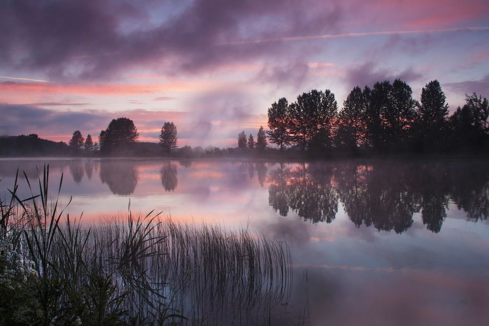 Photograph by Валерий Козуб