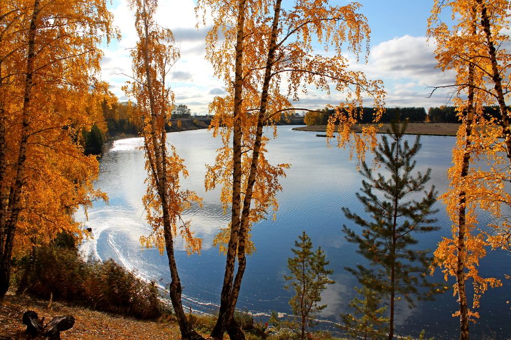 Россия, моя Россия...