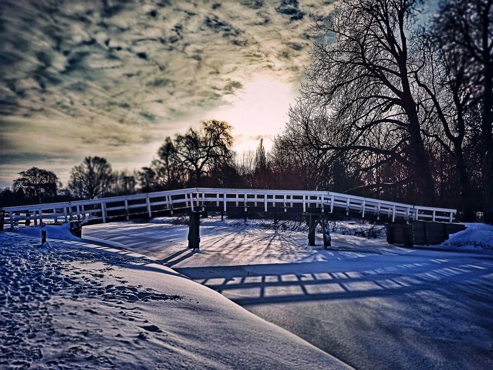 Photograph by Shaghayegh Marzban