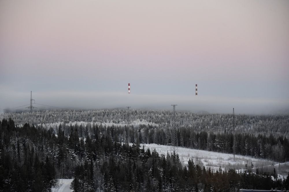 Photograph by Елизавета Чеснокова