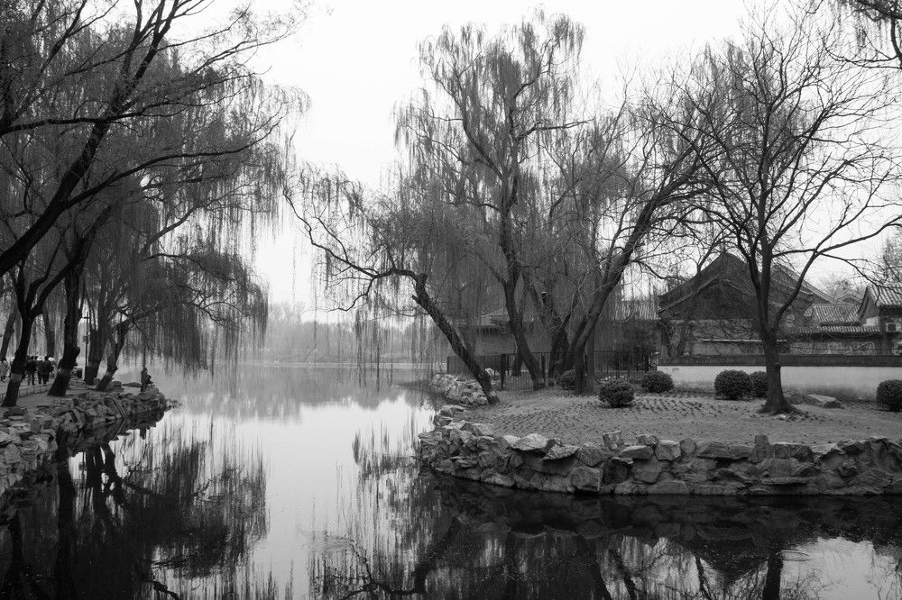 Photograph by Анастасия Лопатина
