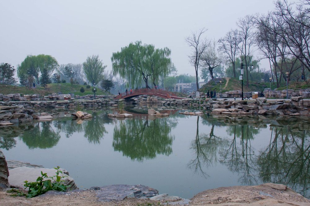 Photograph by Анастасия Лопатина