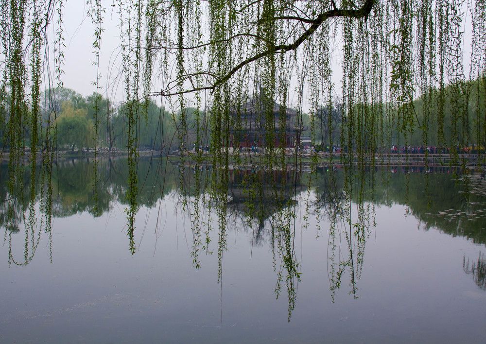 Photograph by Анастасия Лопатина