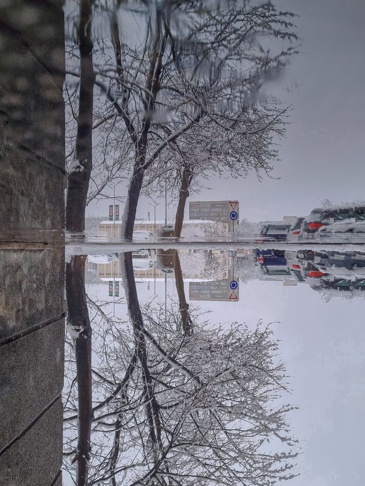 Photograph by Светлана