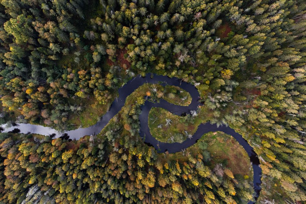 Photograph by Михаил Азаров