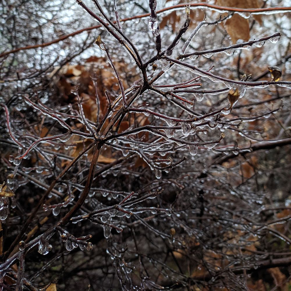 Photograph by Максим Умеренников