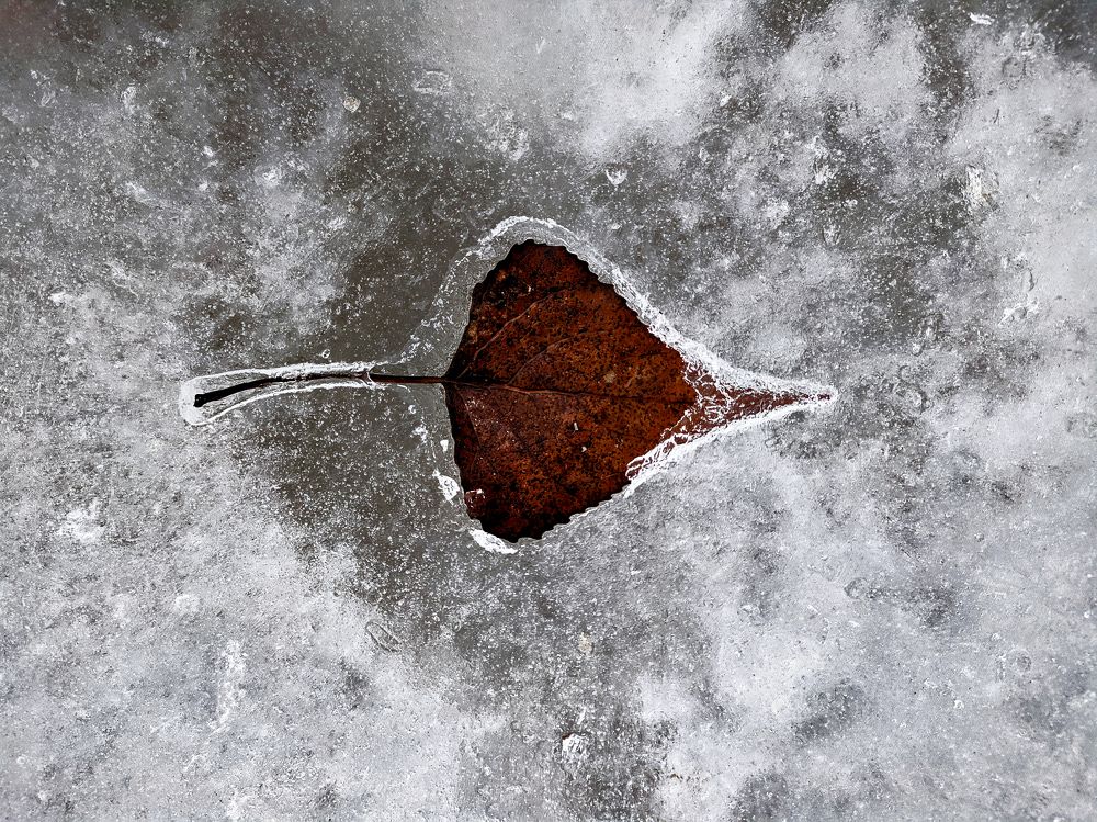 Photograph by Максим Умеренников