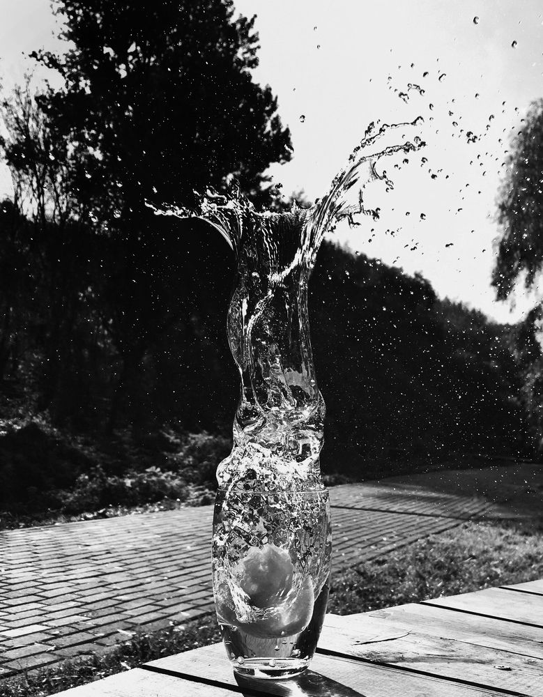Photo #6876968