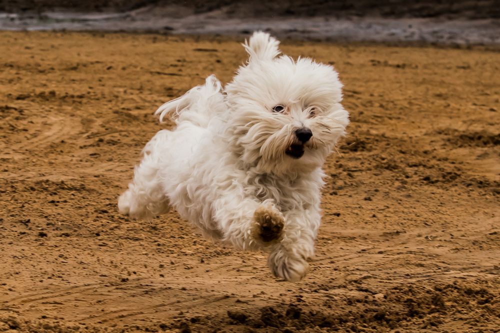 Photograph by Мария Тёмкина