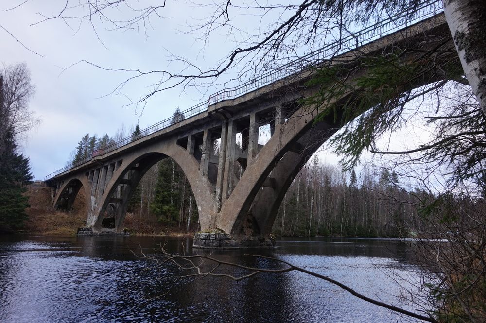 Photograph by нина кутчиева