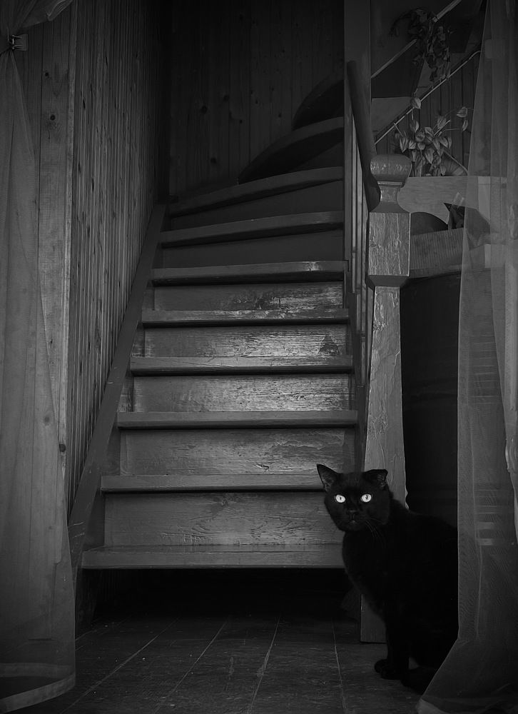 Photograph by Daniil Demidov