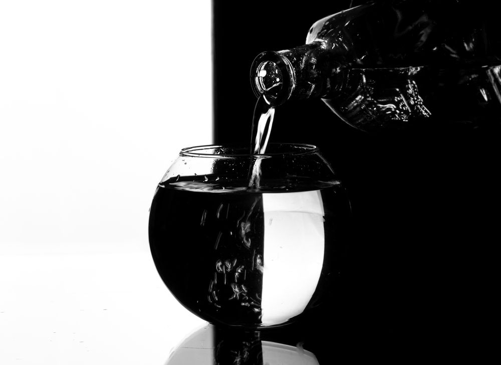 Photograph by Emilis