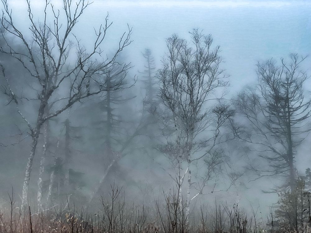 Photograph by Яна