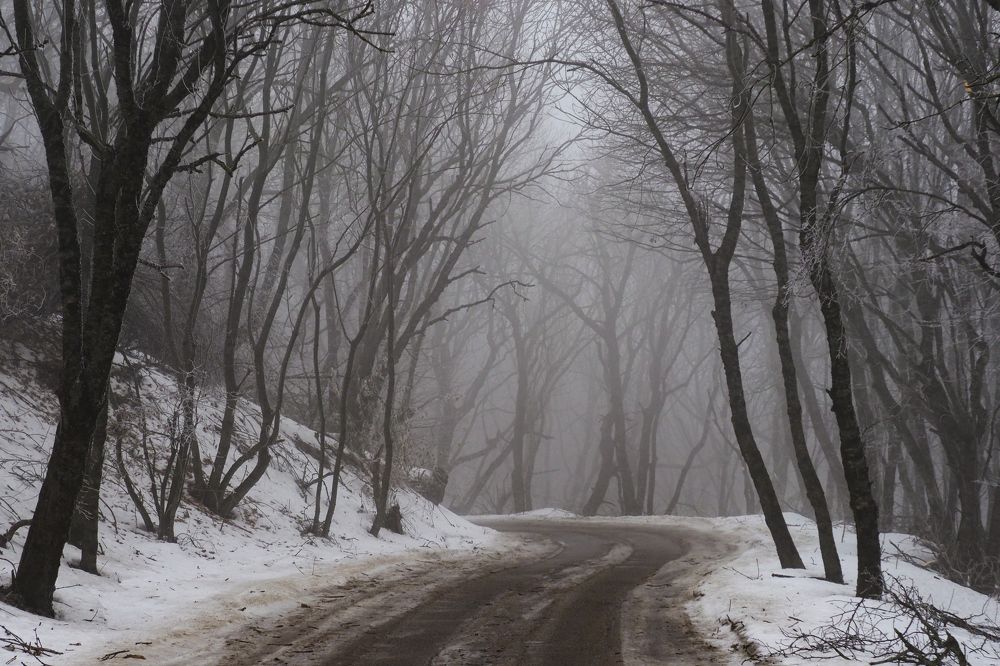 Photograph by Svetlana Guzeeva