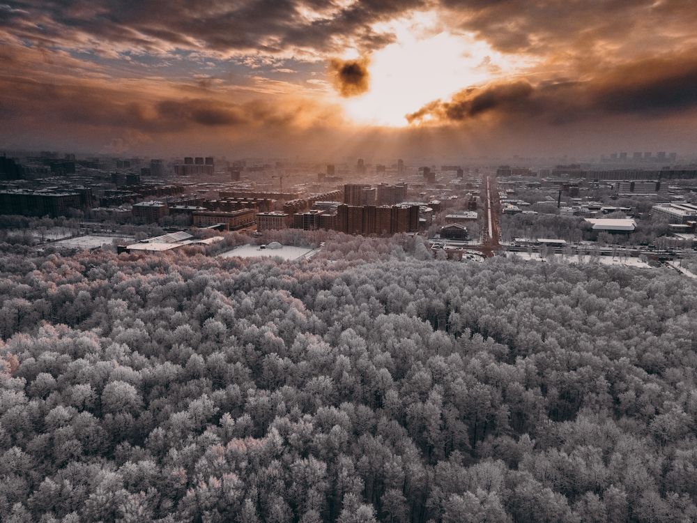 Фотография автора Глеб Салов
