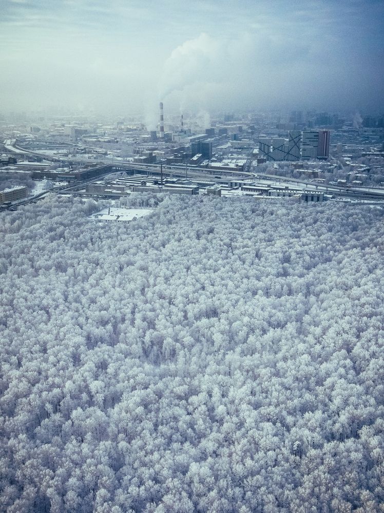 Фотография автора Глеб Салов