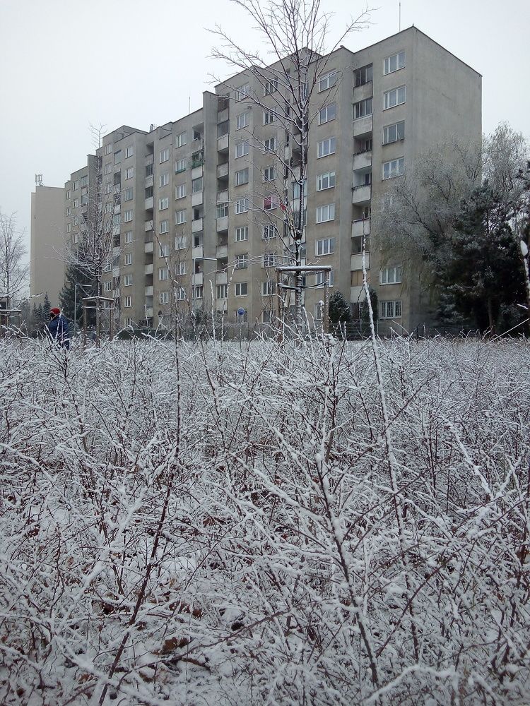 Photo #6877220