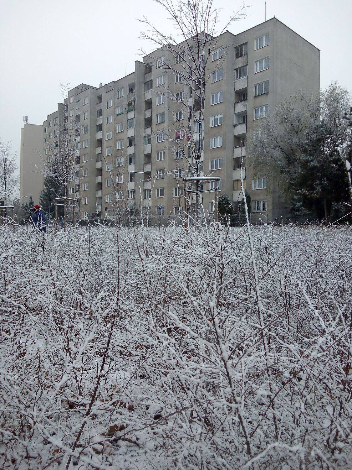 Photo #6877220