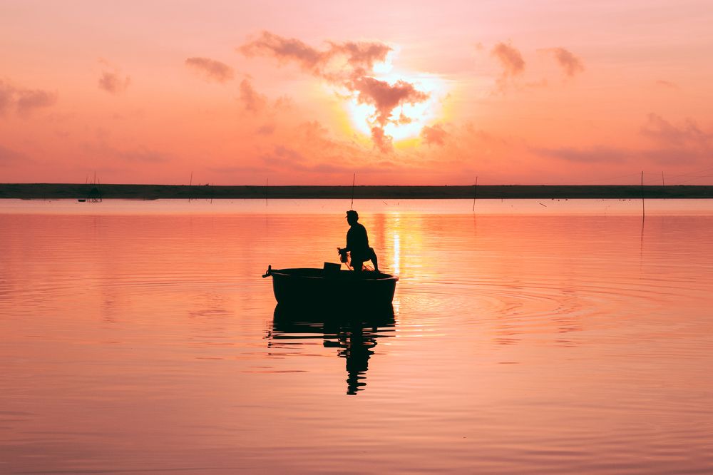 Shine in the early morning light