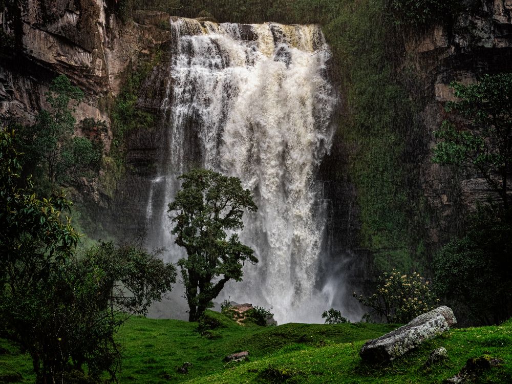 Photograph by Kevin Molano