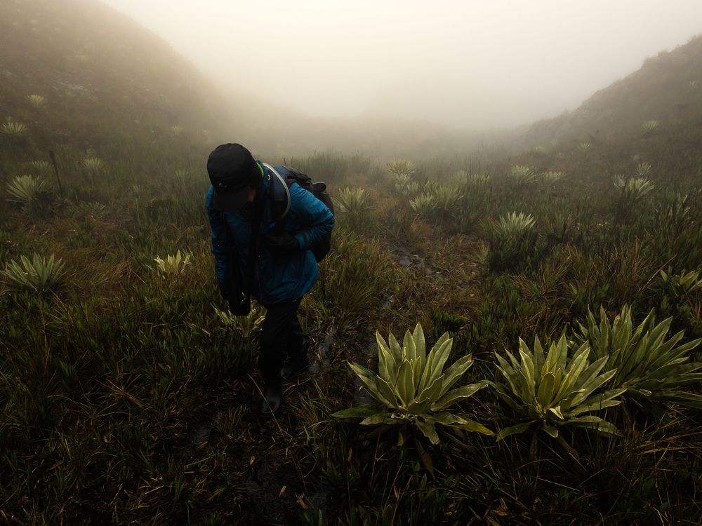 Photograph by Kevin Molano