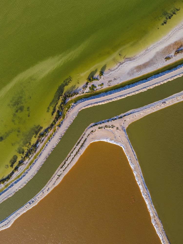 Photograph by Mariana Rodriguez Barrera