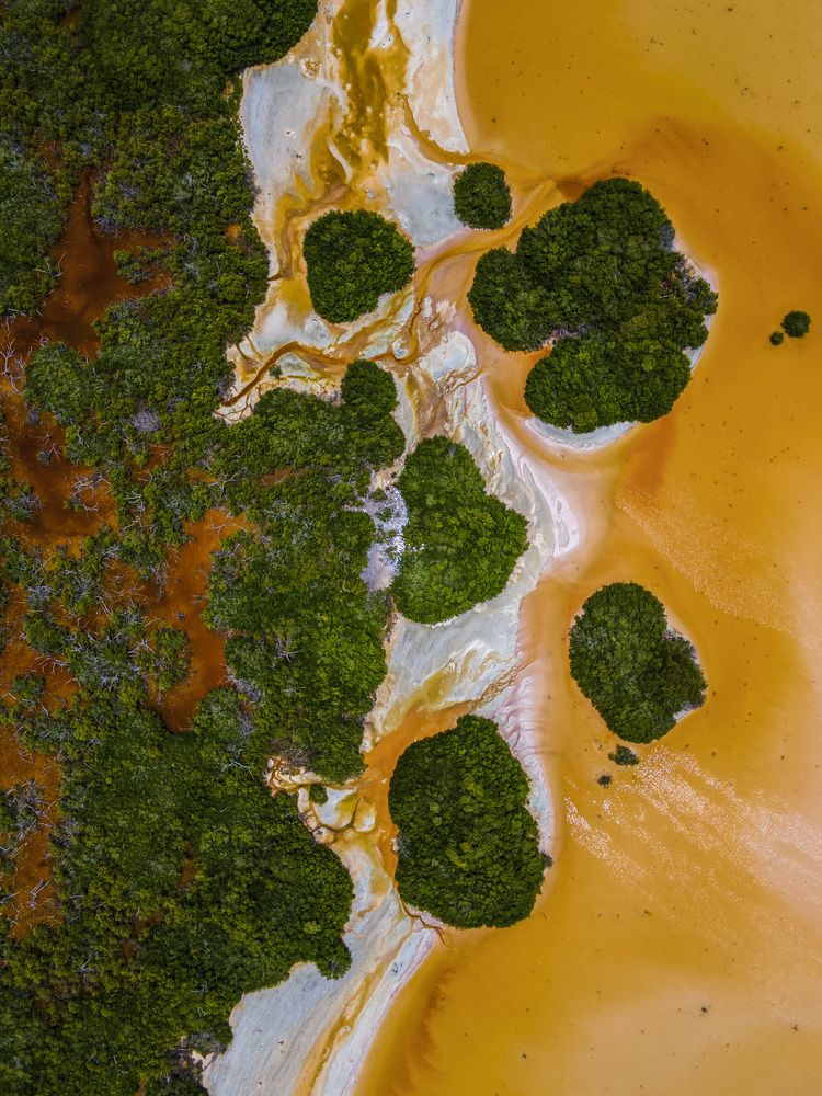 Photograph by Mariana Rodriguez Barrera