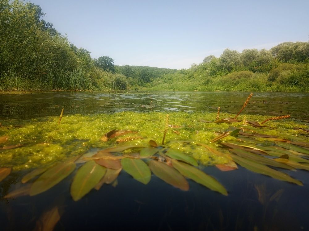 Фотография автора Maiya Bulatova