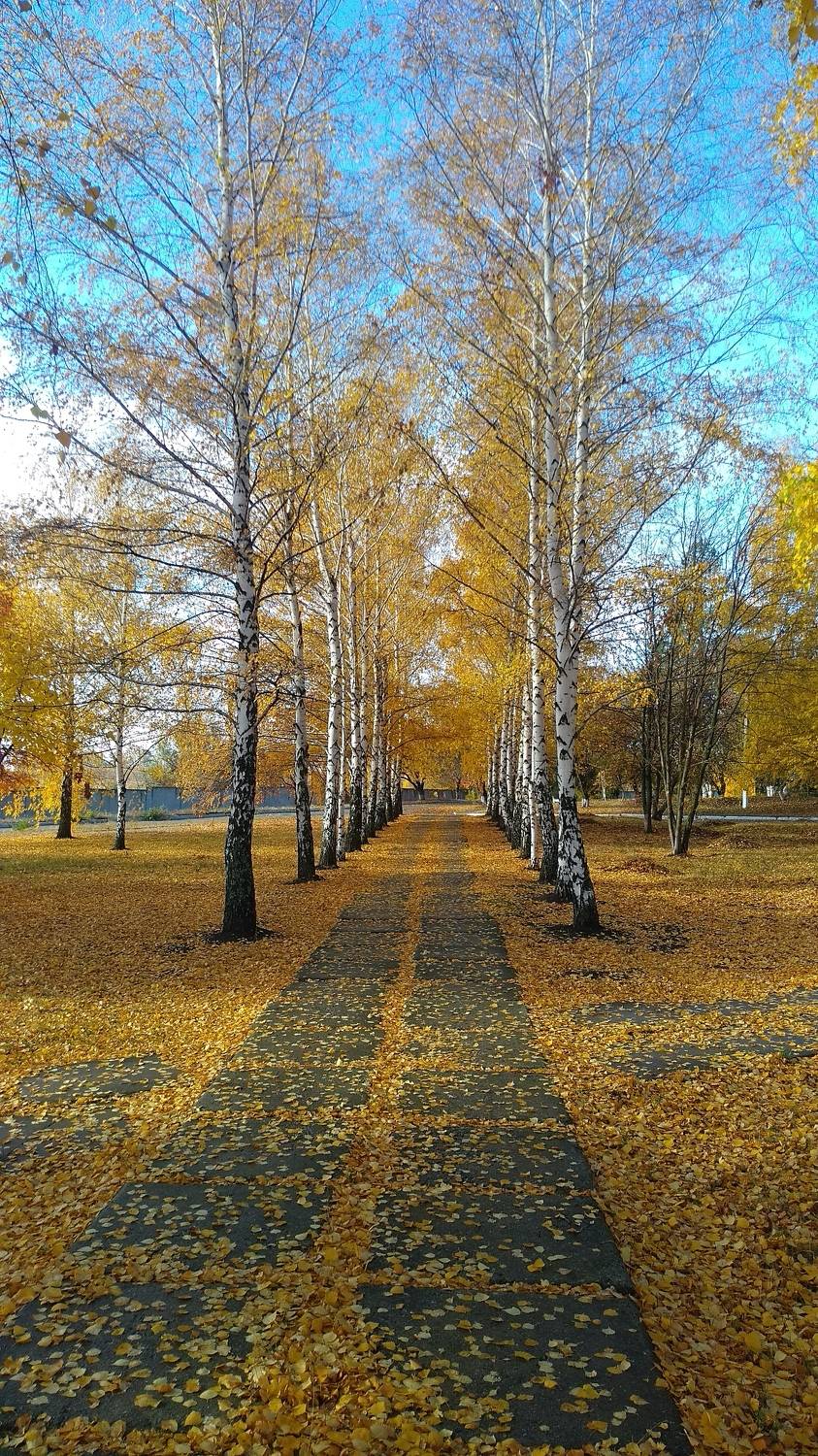 Photo #6877313