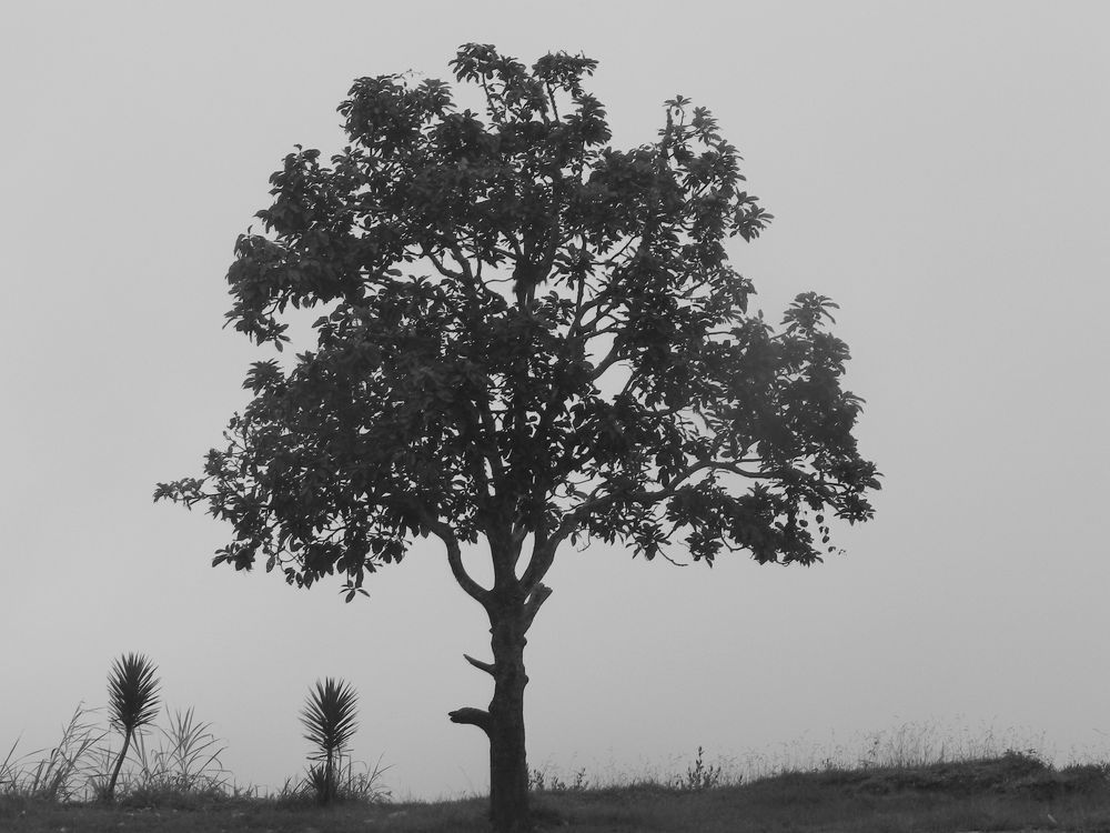 On the edge of a lucid dream