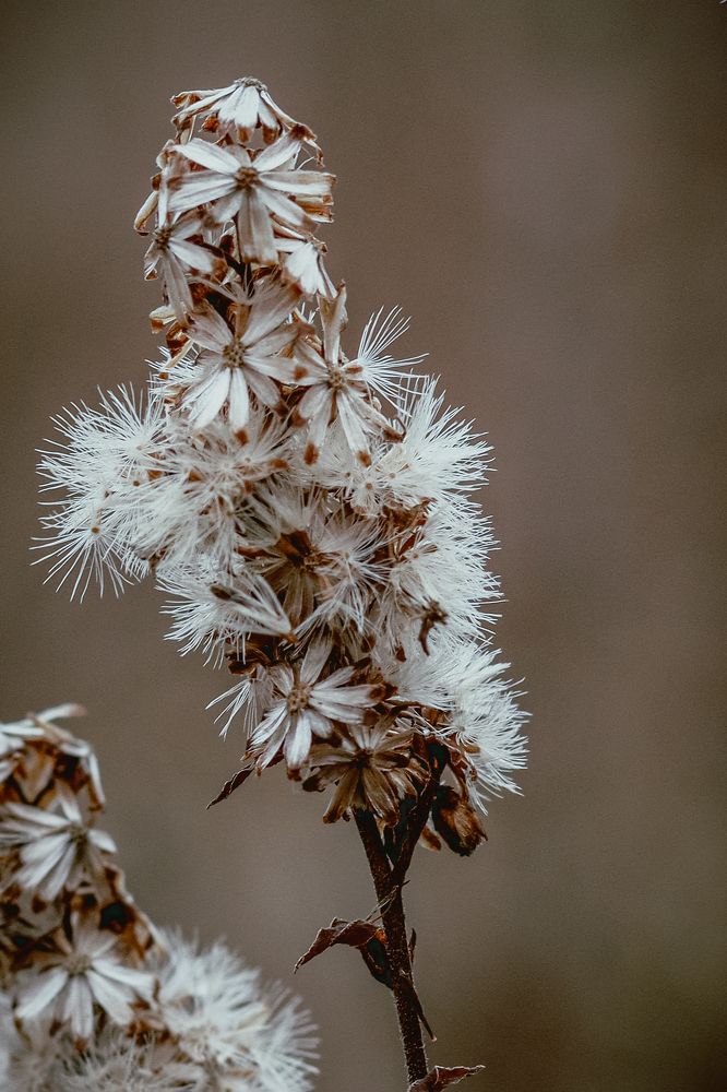 Photograph by Марина Слепова