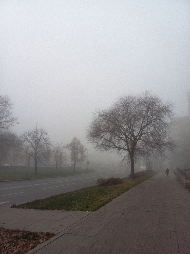 Photograph by Елена Гейман