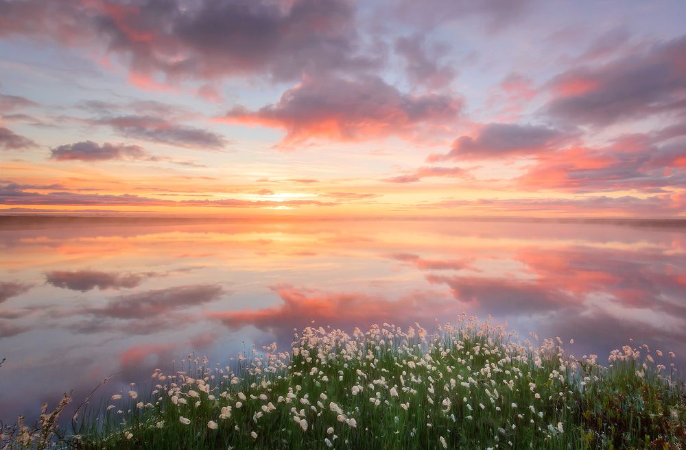 Photograph by Николай Андреев