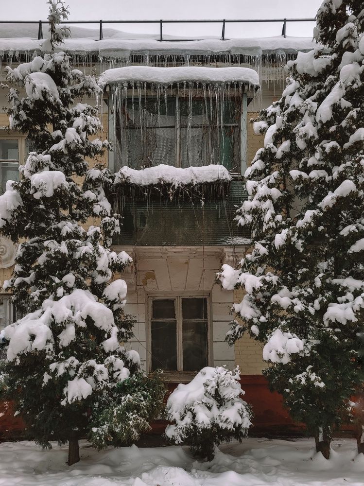 Photo #6877454