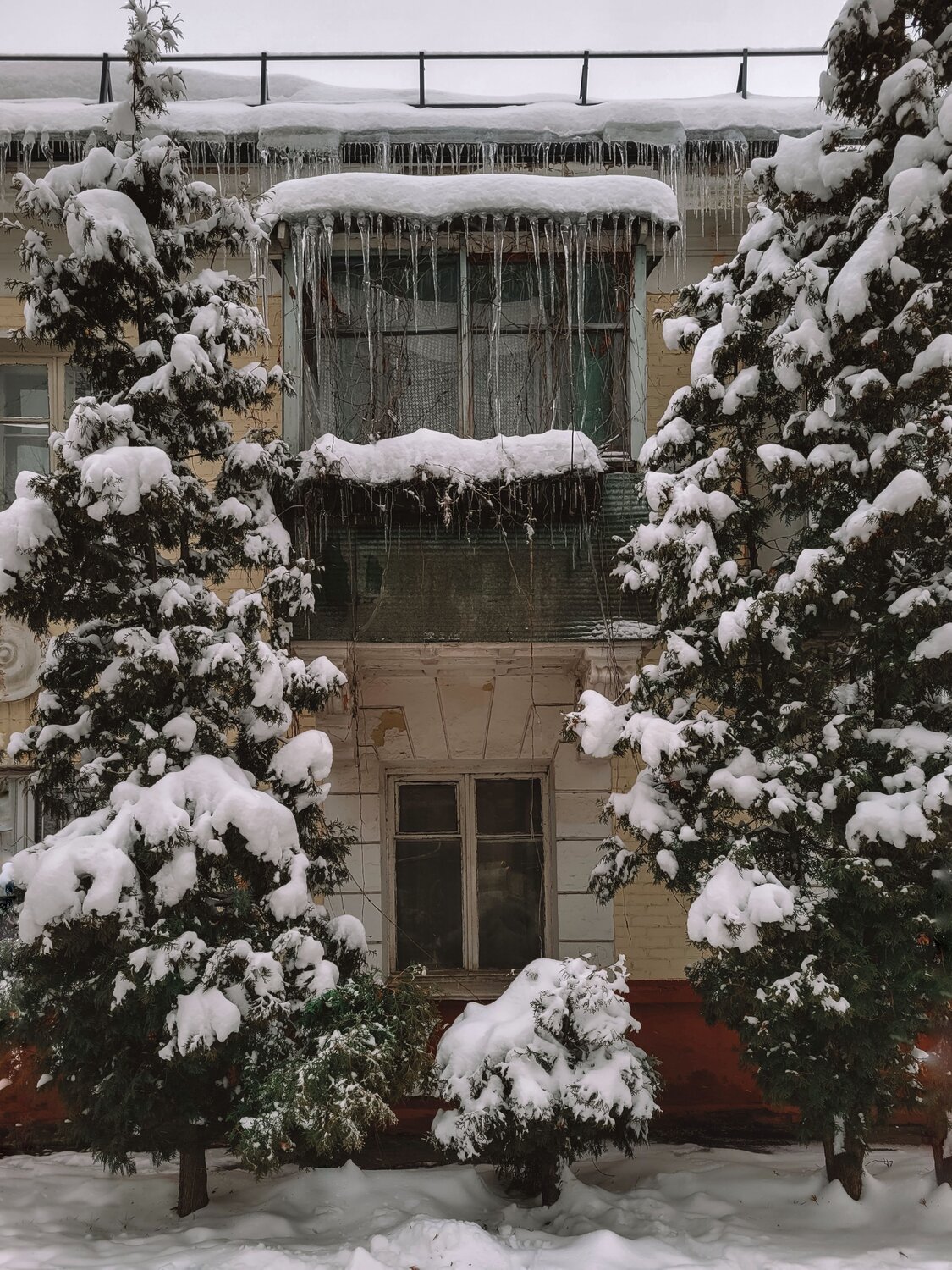 Photo #6877454