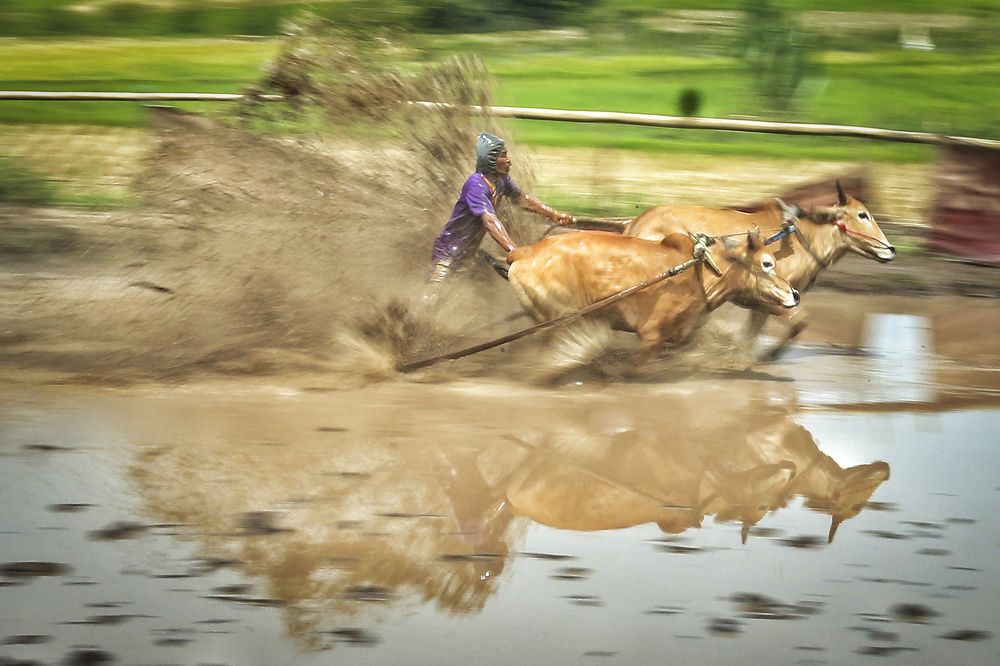 Photograph by Riski Donheri