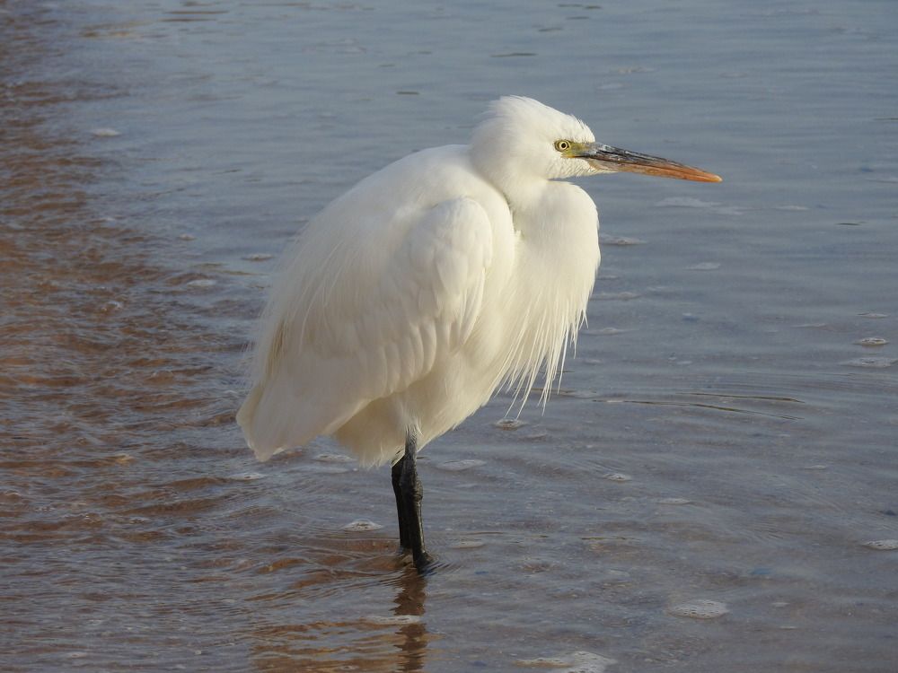 Фотография автора Юлия Овчинникова