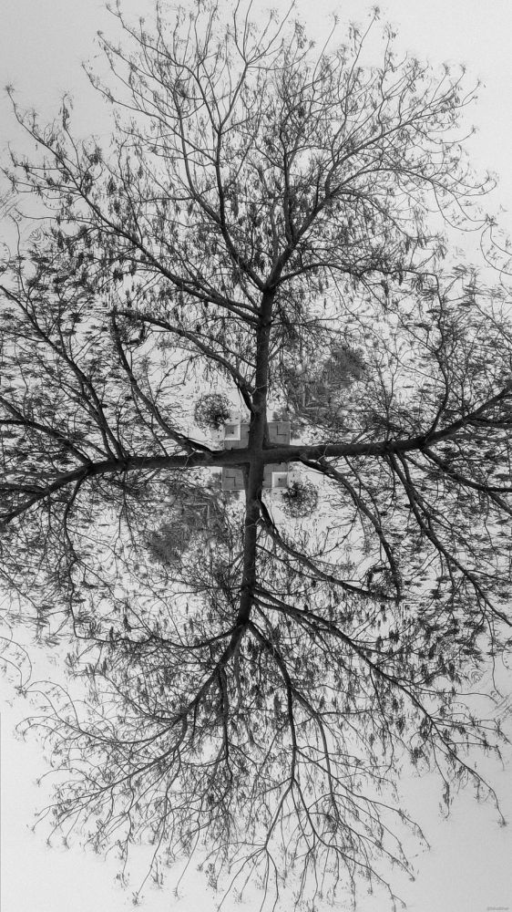 Photograph by Muhammad Fahad Bashir