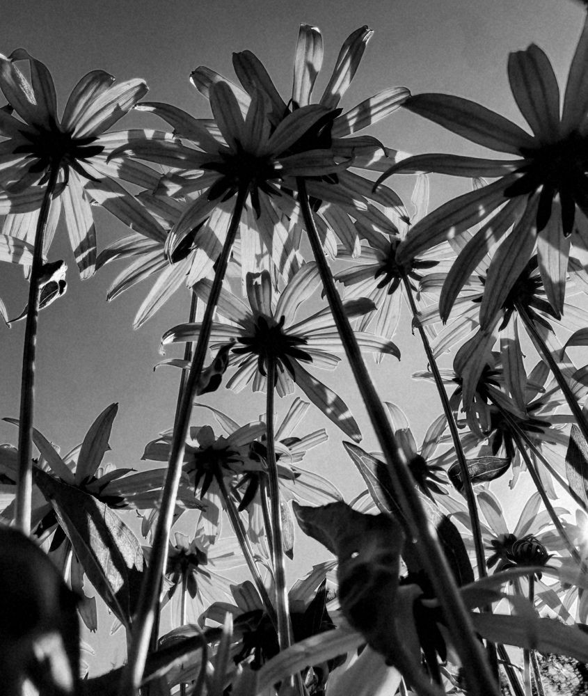 Photograph by Олика