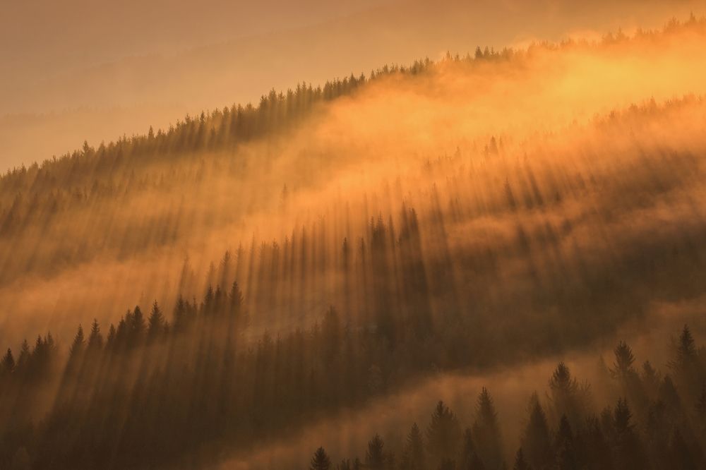 Фотография автора Michaela Vinterova