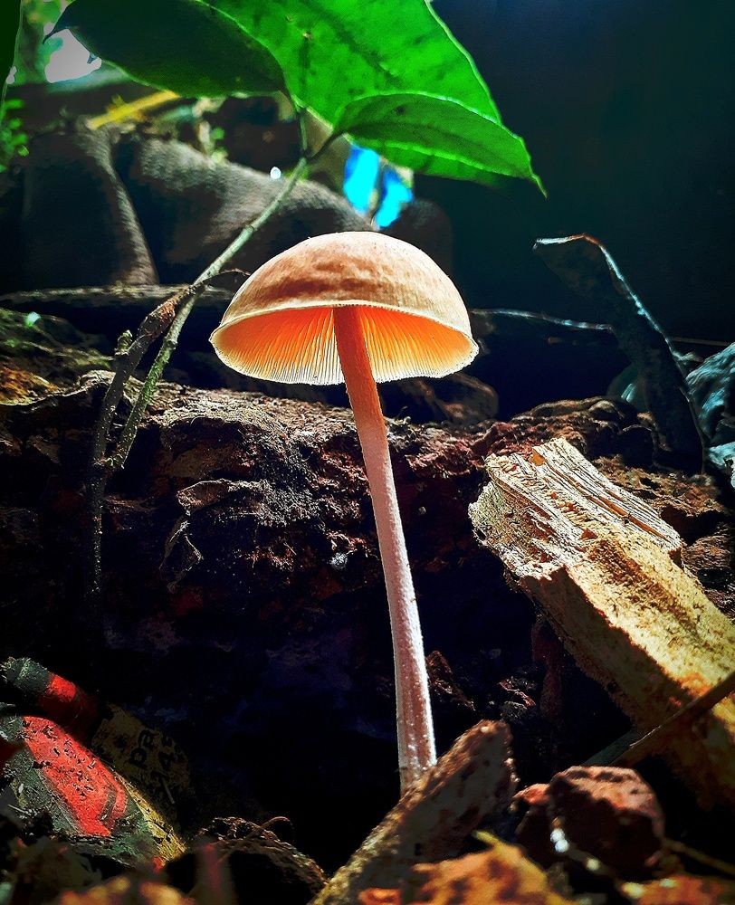 Photograph by Ruchika Kalangutkar