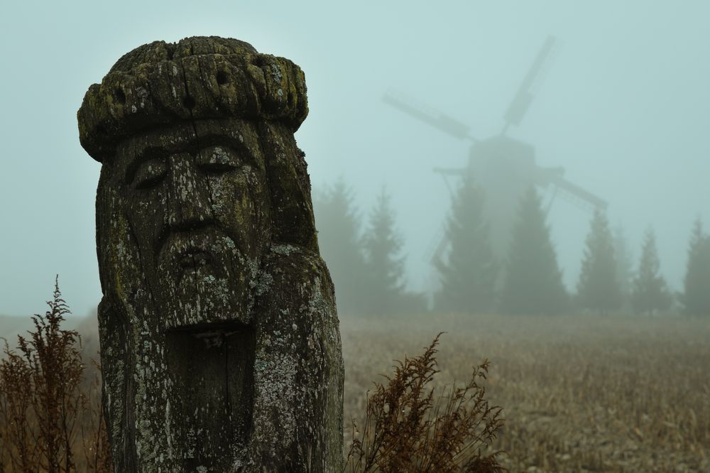 Photograph by Дмитрий Котов