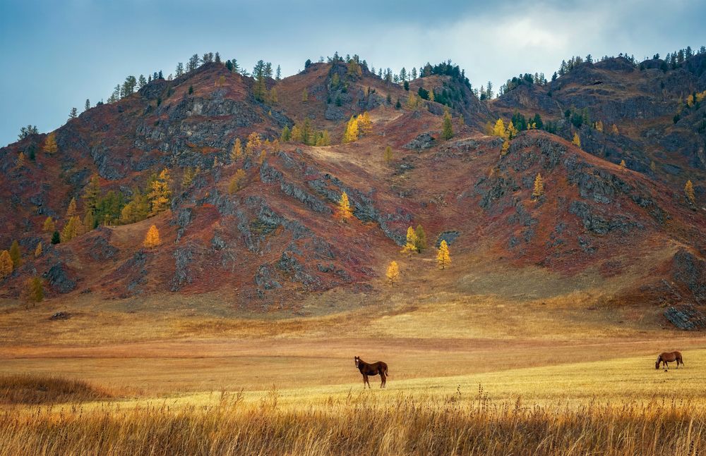 Прогулка по Канской степи...Алтай